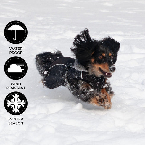 Shedrow K9 Chinook Dog Coat S Black - Poudre Pet & Feed Supply 4